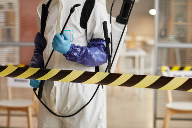 Professional Sewage Cleanup technician working in Wells, ME